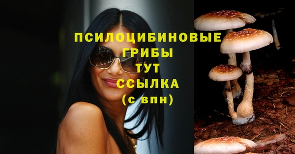 спайс Корсаков