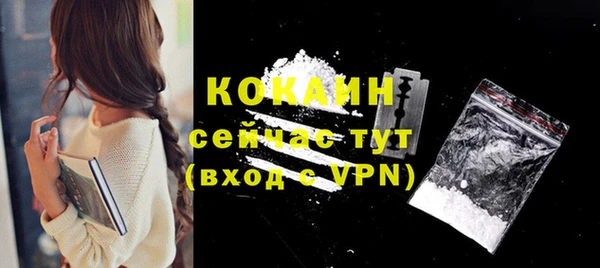спайс Корсаков