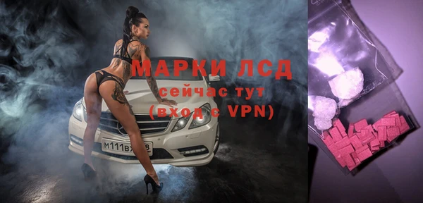 спайс Корсаков