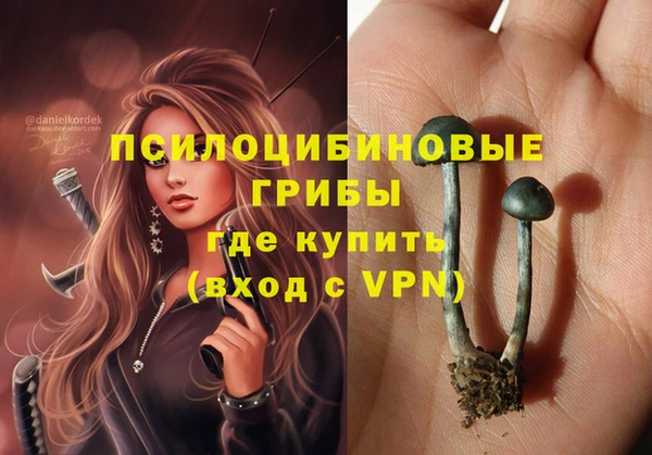 спайс Корсаков