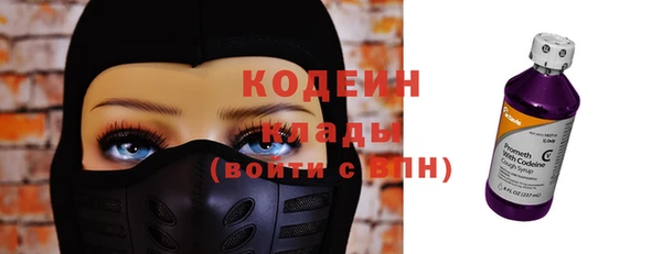 спайс Корсаков
