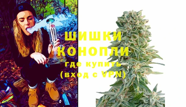 соль ск Коряжма