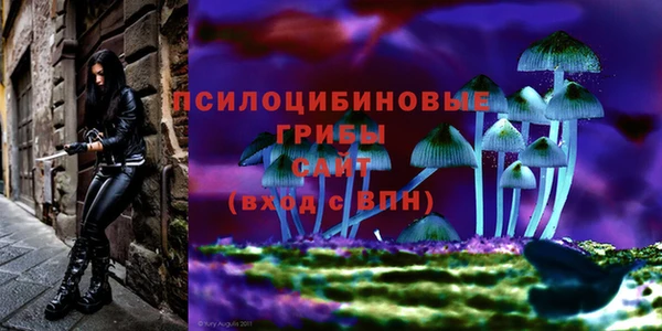 соль ск Коряжма