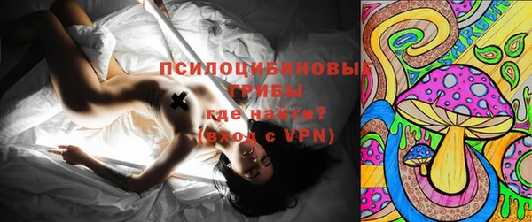соль ск Коряжма