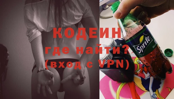 спайс Корсаков