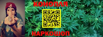 не бодяженный Заводоуковск