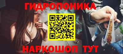 спиды Аргун