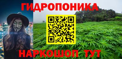 спиды Аргун