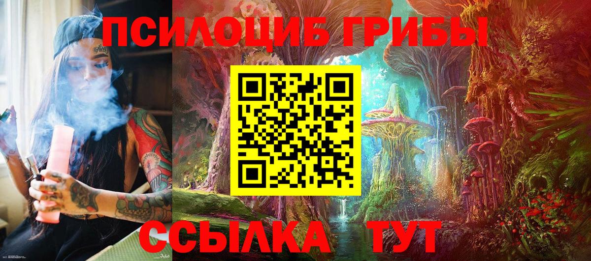 Галлюциногенные грибы Psilocybe  Вход с VPN  купить   Нижневартовск 
