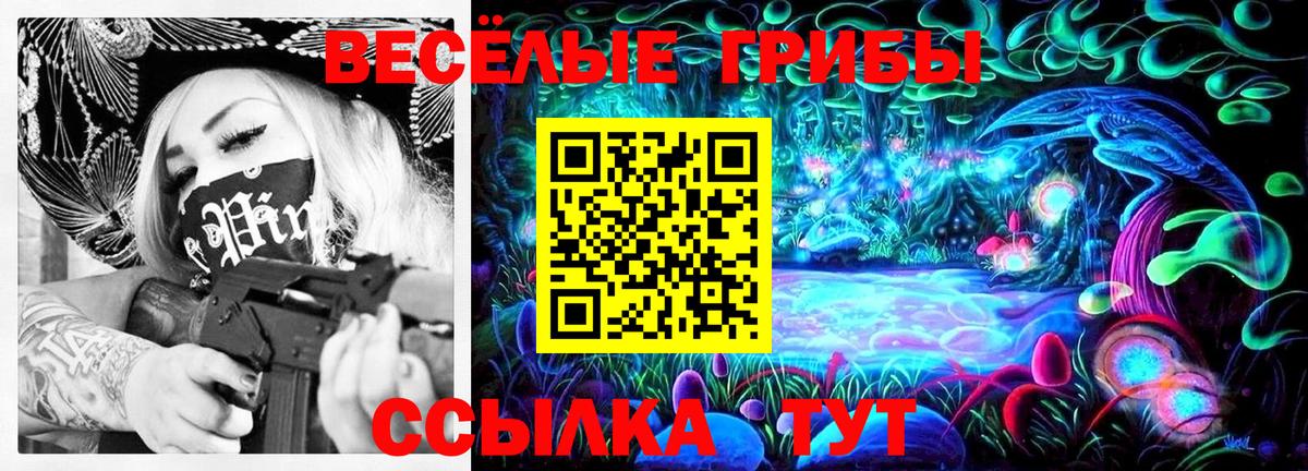 Галлюциногенные грибы Psilocybe  закладка  Нижневартовск  Псилоцибиновые грибы Psilocybe 